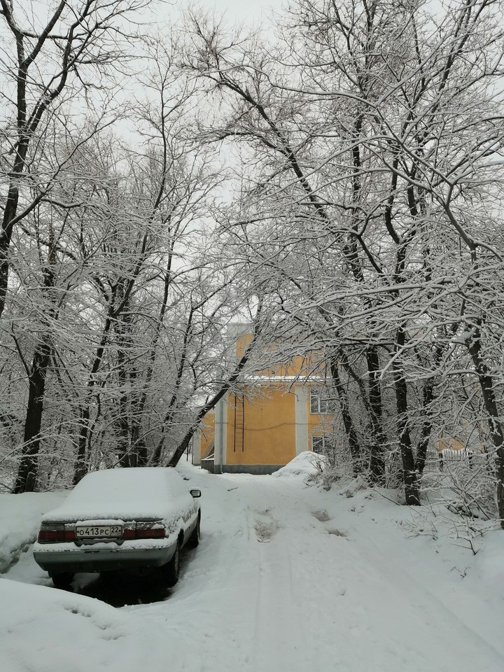 Первый снег