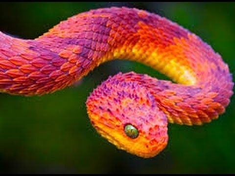 sssssss
