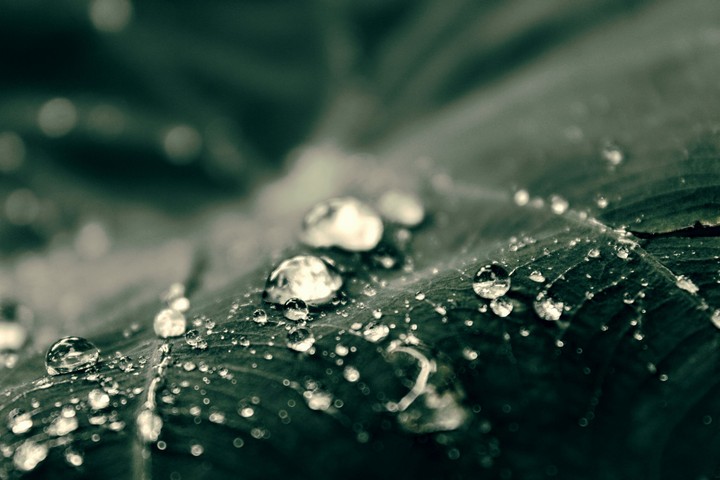 drops
