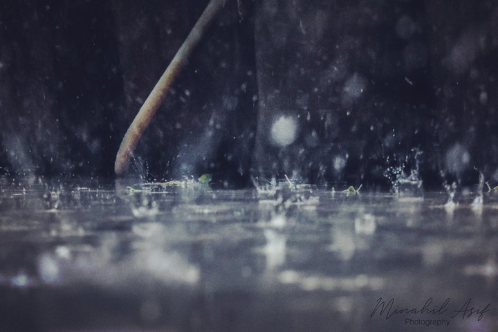Rain