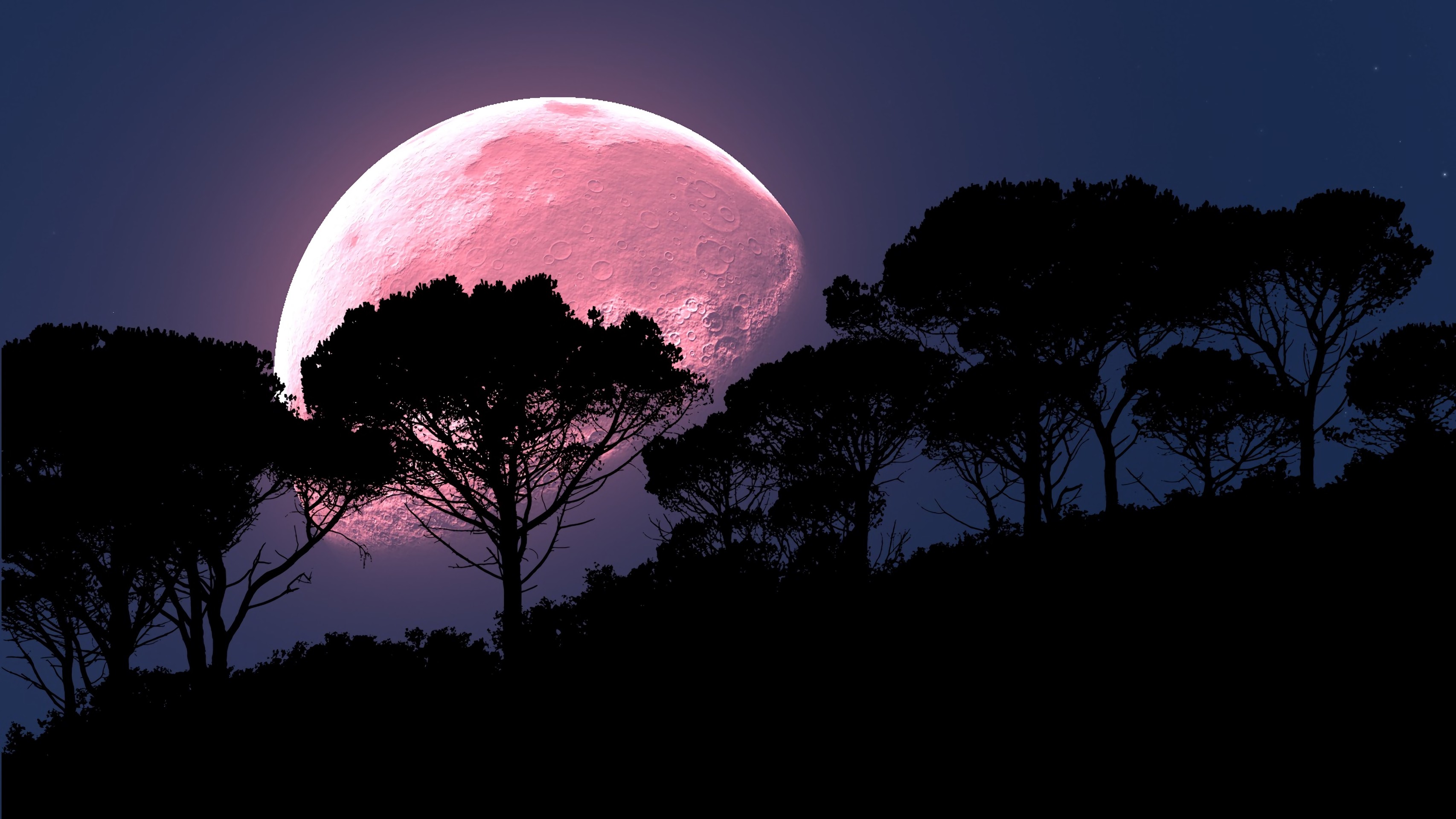 Moon Tree Photoshop