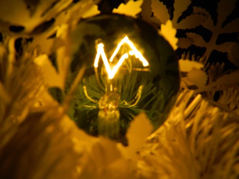 A bulb's light