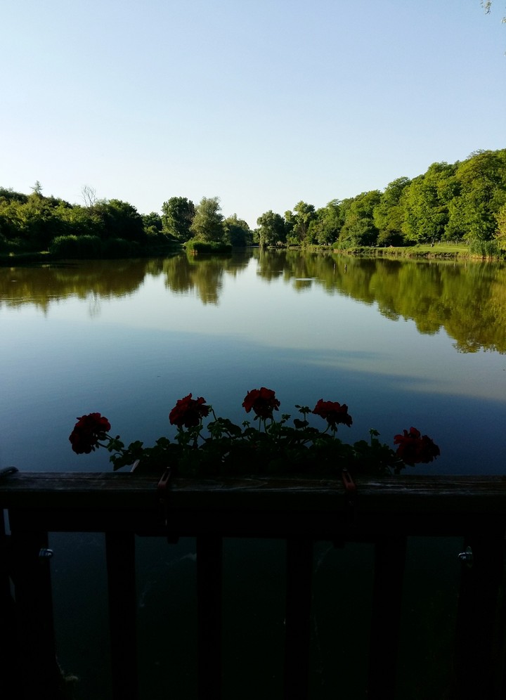 Nyár