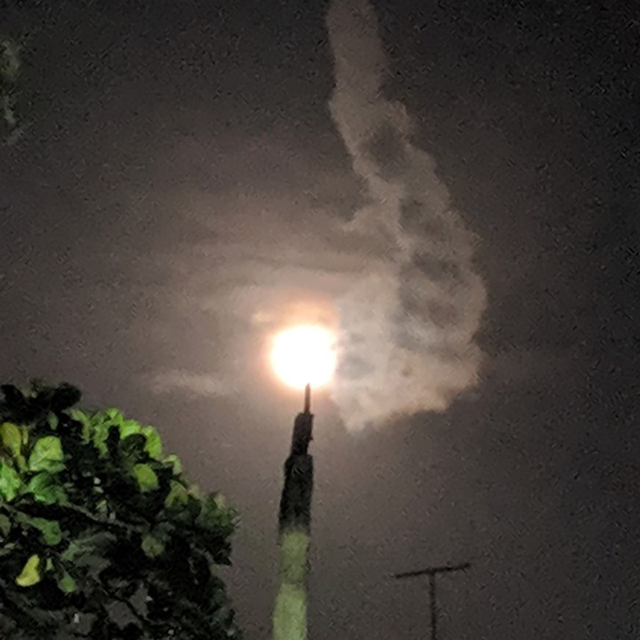 moonlight