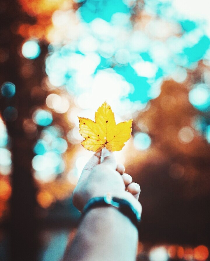 My sample photo