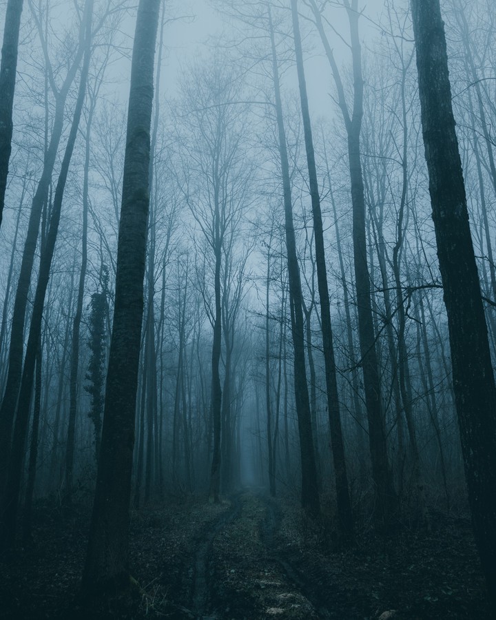 Haze HD