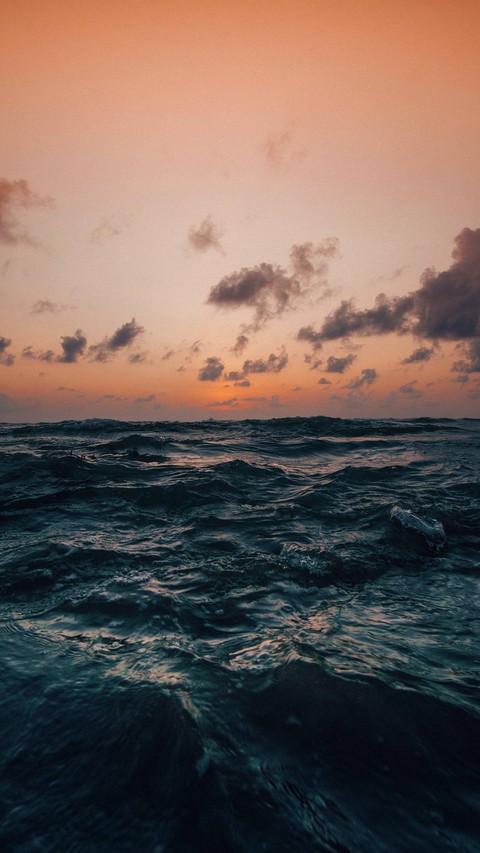 wallpaper