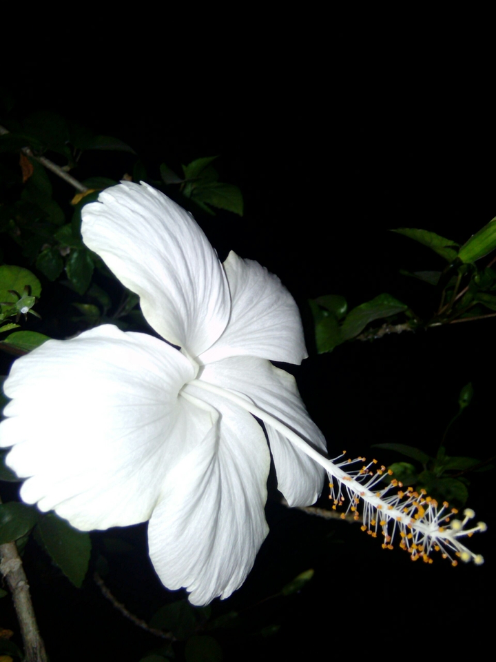 Night view...