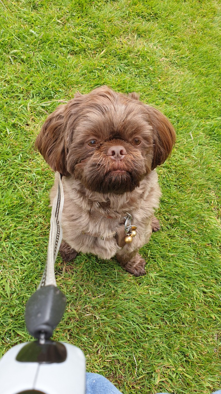 waiting for treat!!!