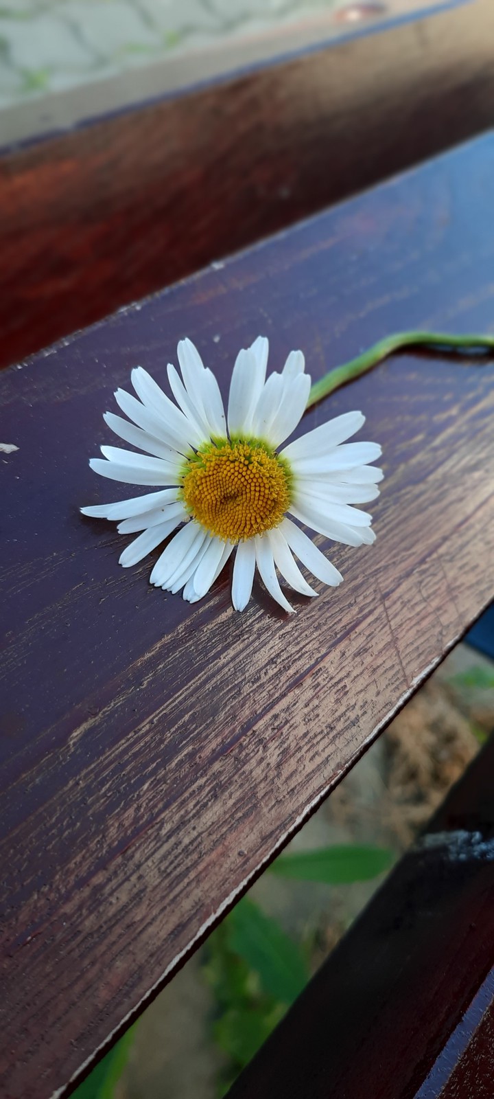 on the bench