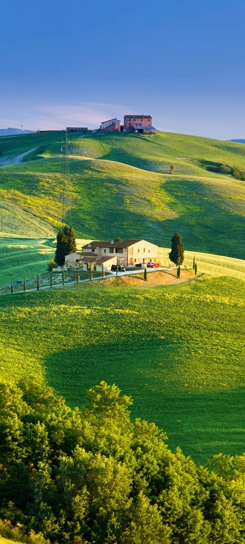 Field
