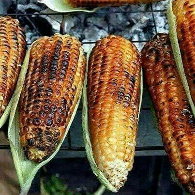 corn