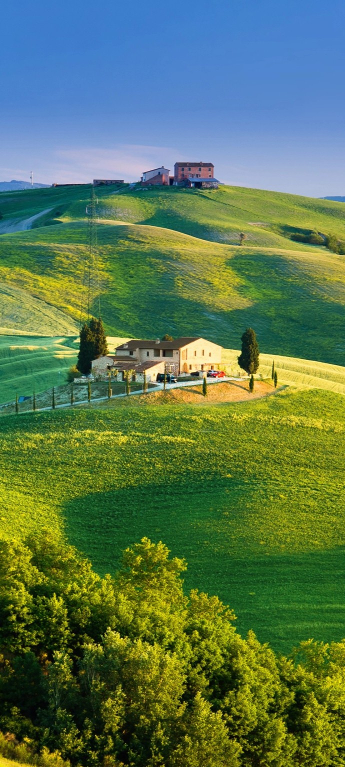 Field