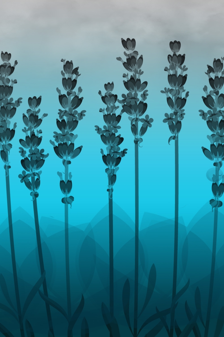 Blue lavender