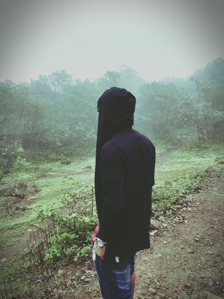 in the woods