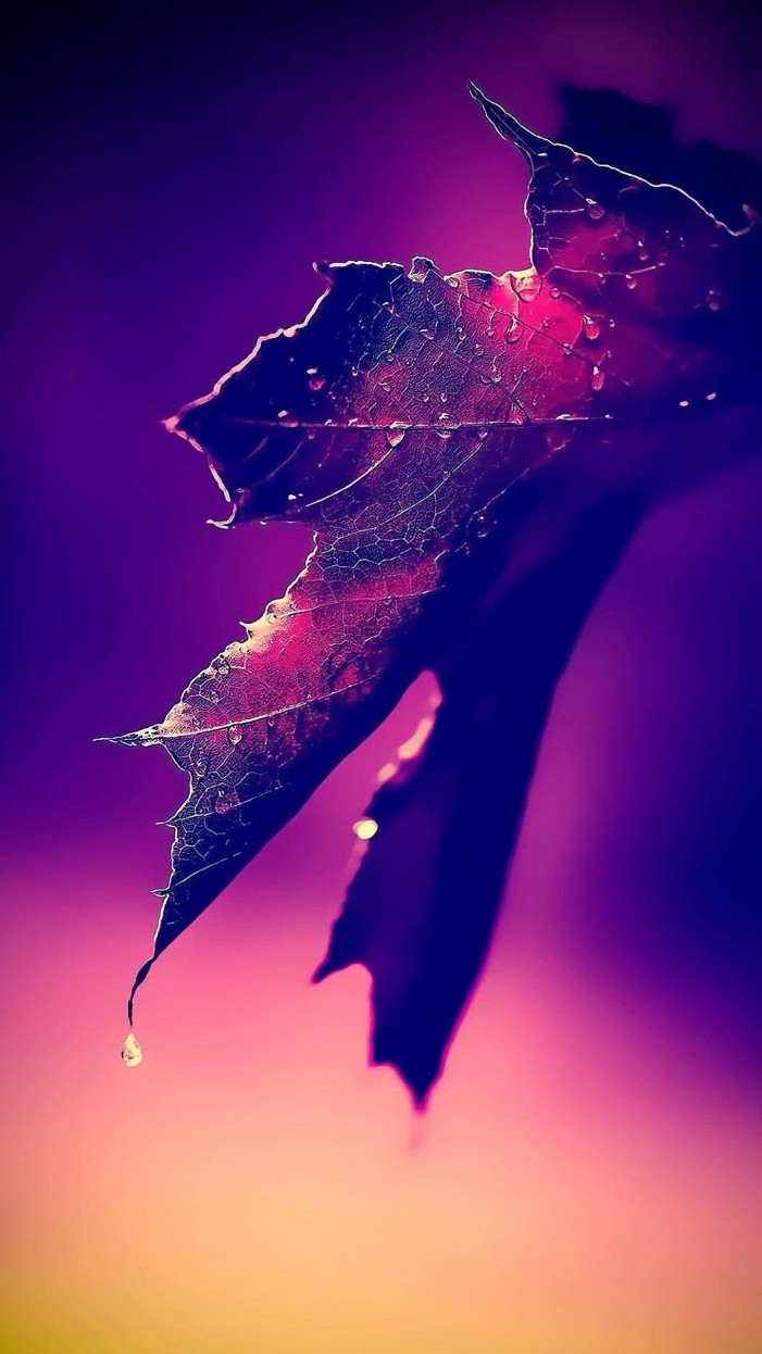 nature love