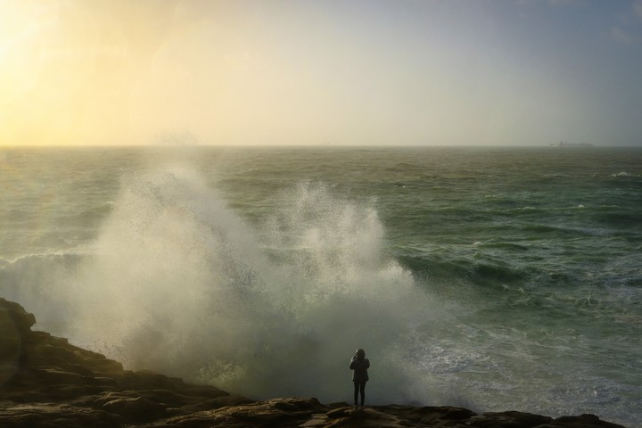 the wave
