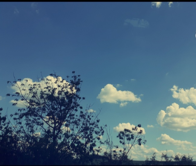 sky