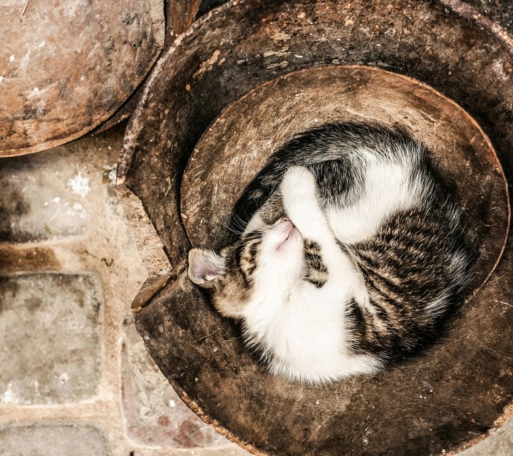 cute