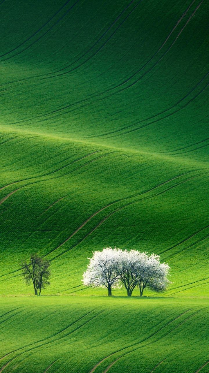 nature