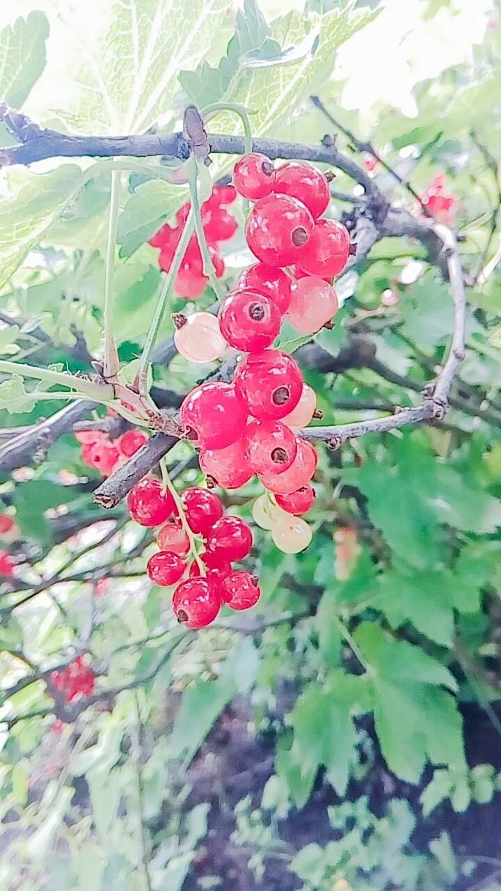 Красивенько