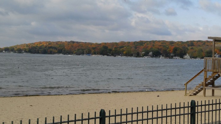 Fall Trees in Lake Geneva WI