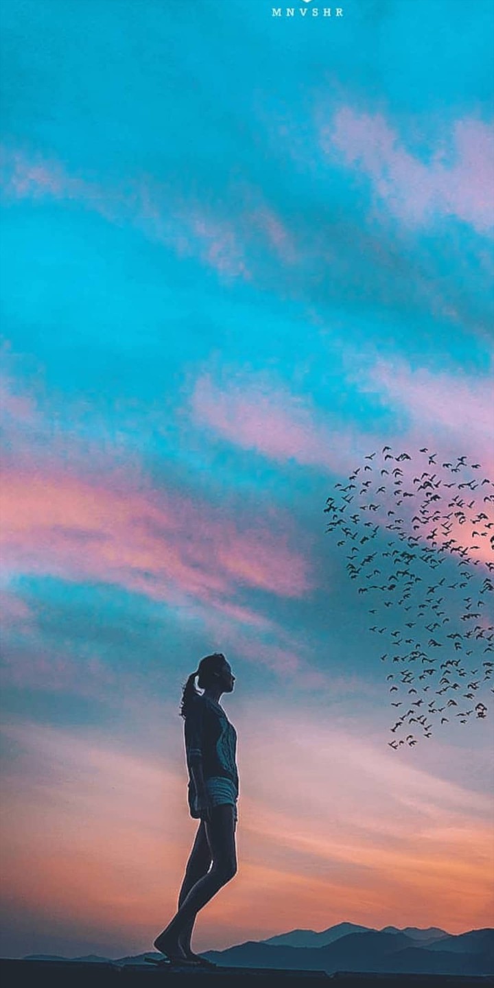 bird