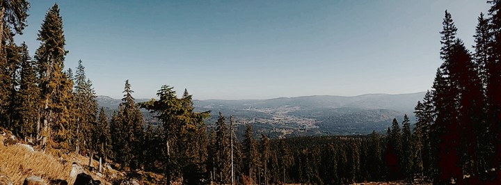 Bayerischer Wald