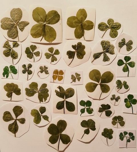 my lucky-collection :)