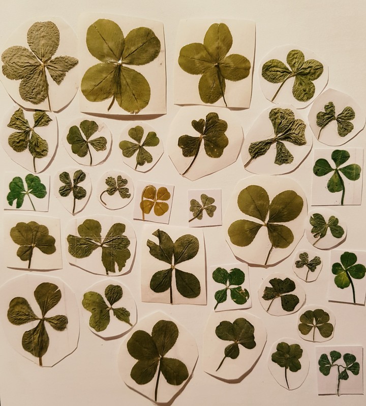 my lucky-collection :)