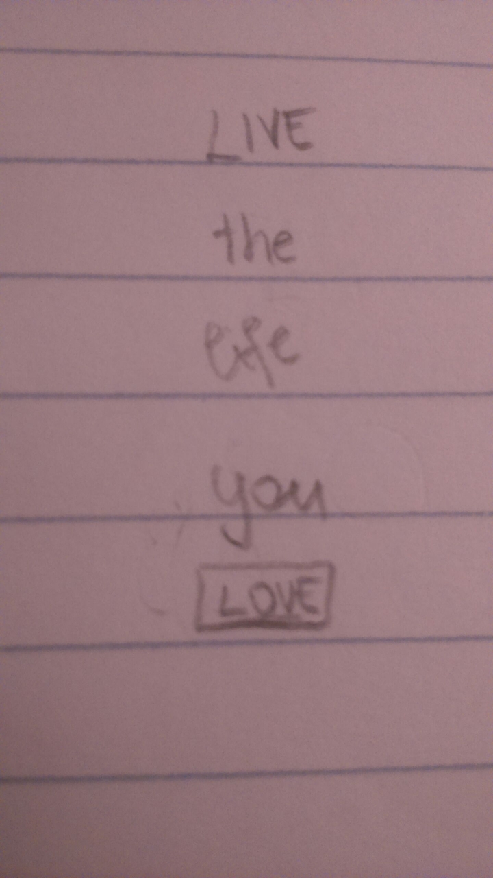 live the life you love