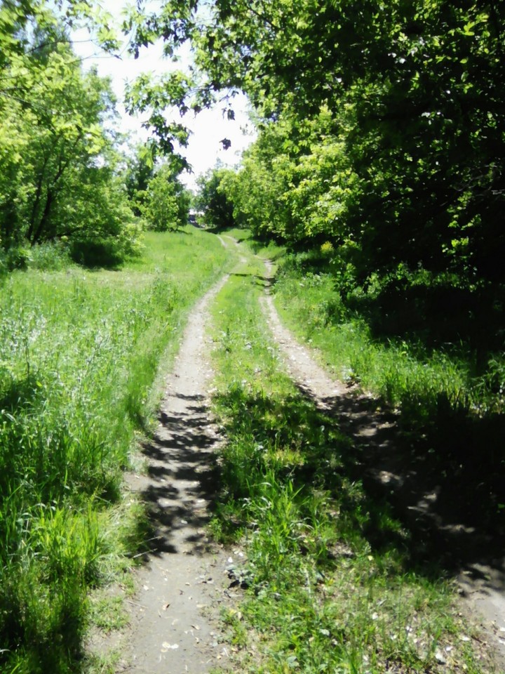 дорога