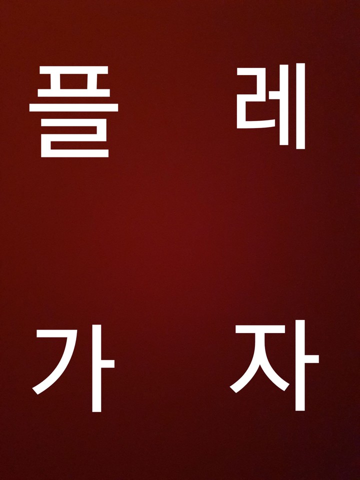 플레가자
