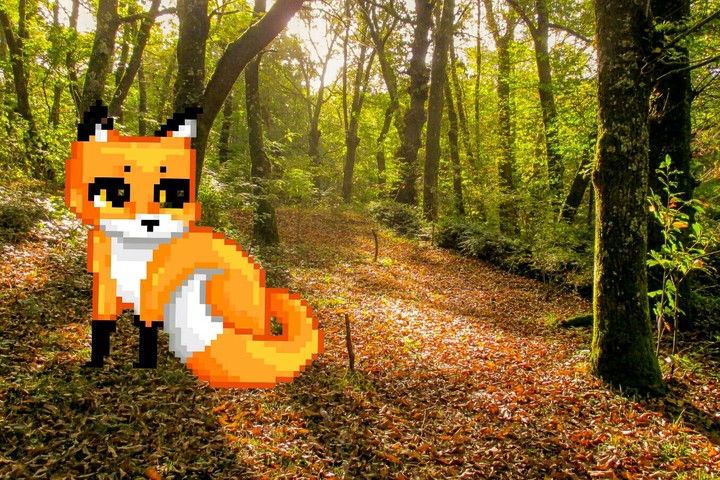 zorro pixele