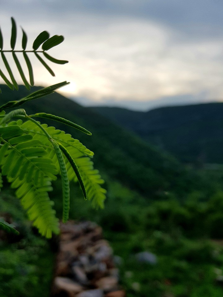 rainy season