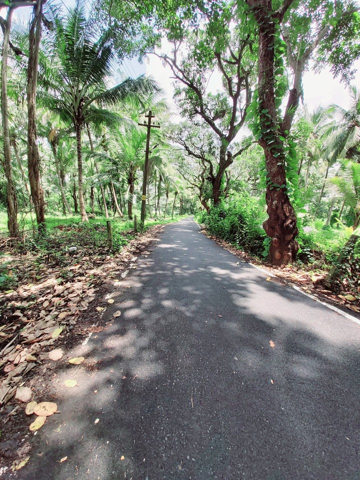 Angel path