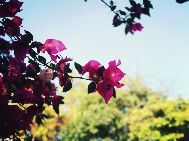 nerural photography