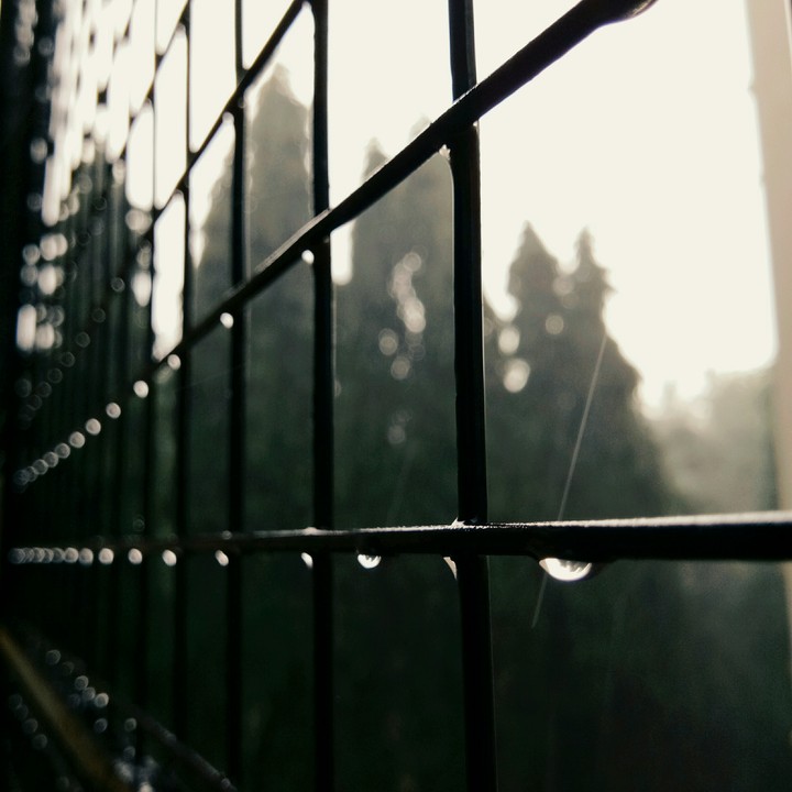 Rainy Day..