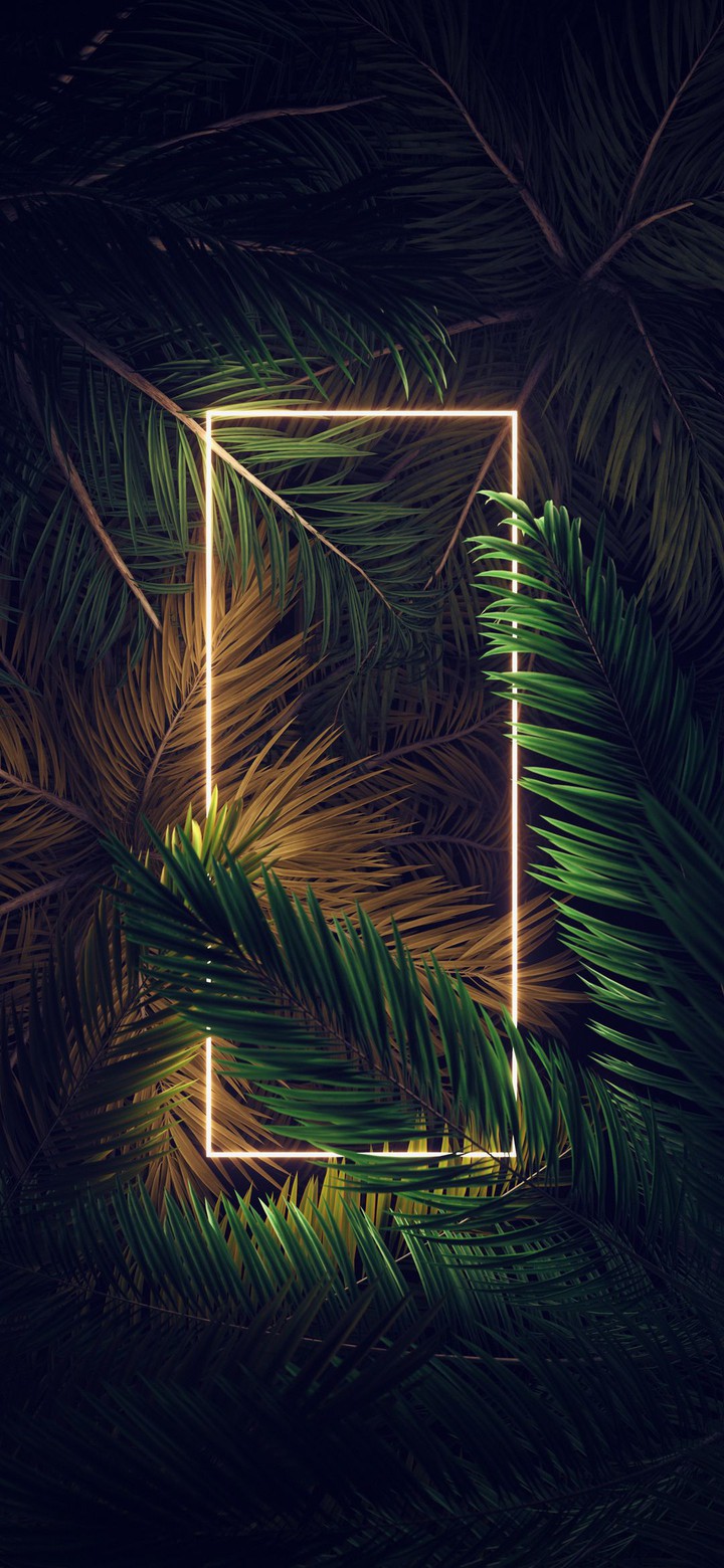 wallpaper