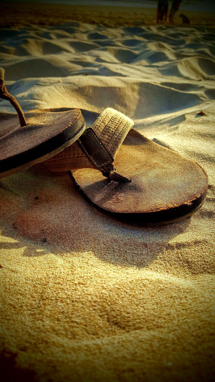 Shore
