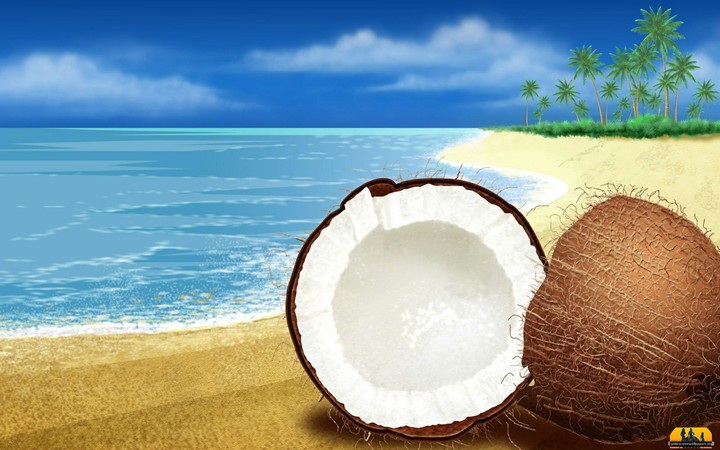Coconuts on the Beach
