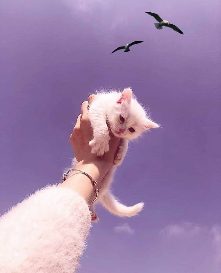 Cute♥️