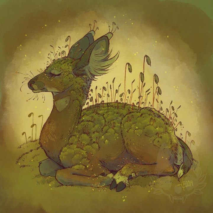 animal + nature