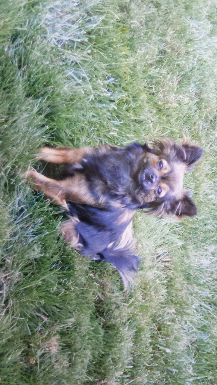 my baby girl onyx