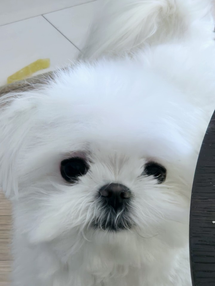 .