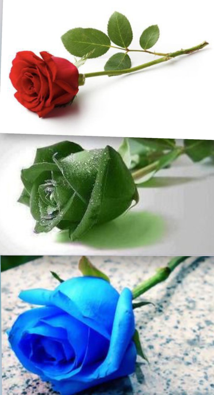 PASSION BEAUTFUL