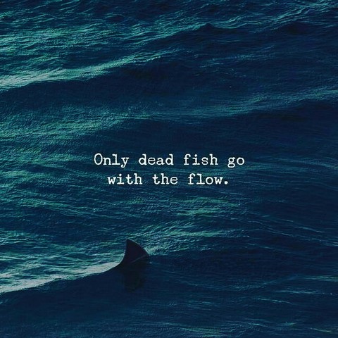 push yourself not to be a dead fish