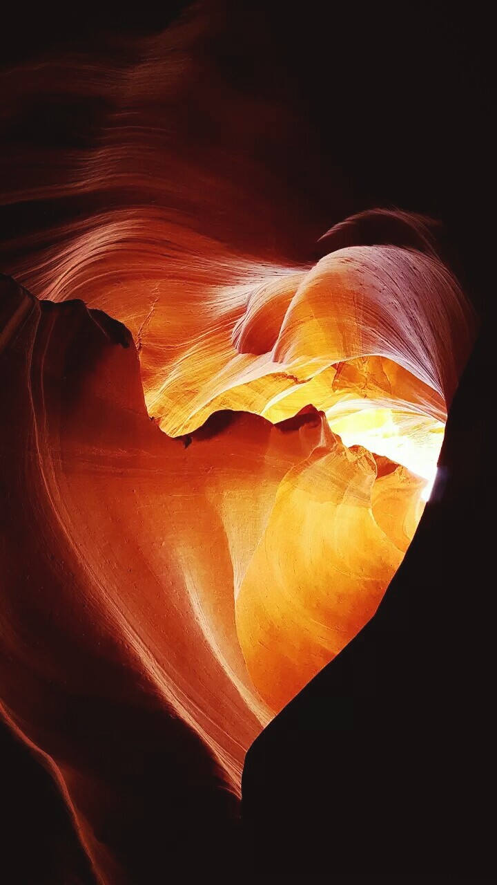 heart