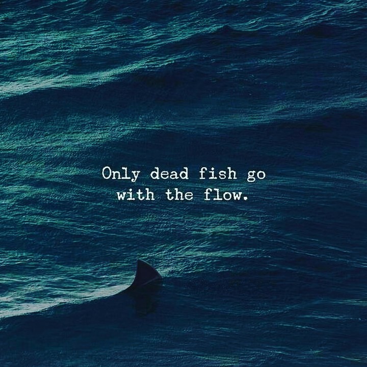 push yourself not to be a dead fish