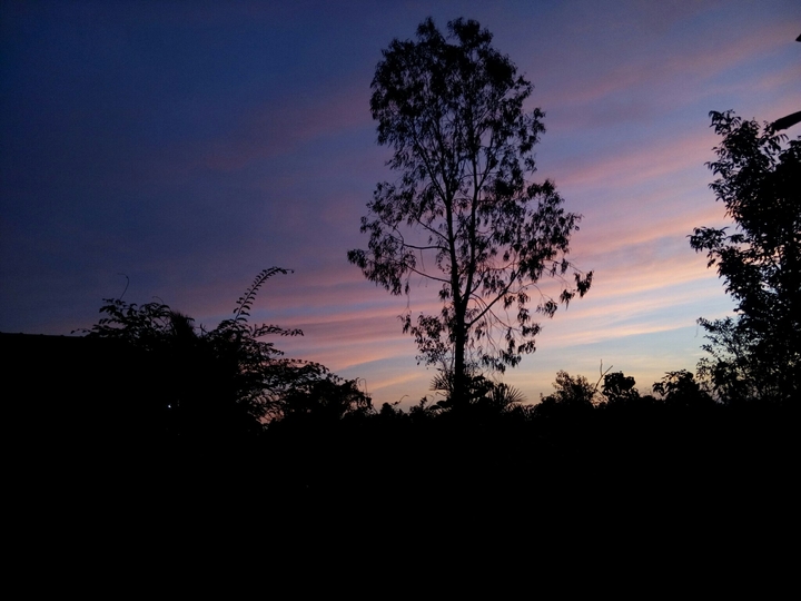 dawn